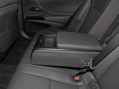 2021款 300h F SPORT