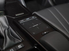 2021款 300h F SPORT