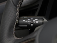 2021款 300h F SPORT