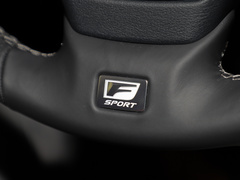2021款 300h F SPORT