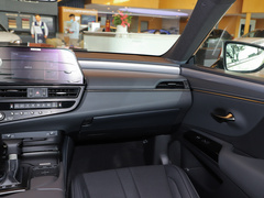 2021款 300h F SPORT