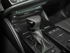2021款 300h F SPORT