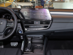 2021款 300h F SPORT