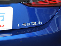 2021款 300h F SPORT