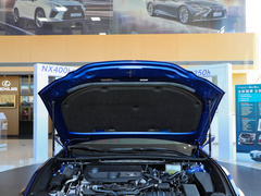 2021款 300h F SPORT