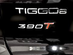 2021款 鲲鹏版 390TGDI 自动逐风版