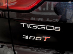2021款 鲲鹏版 390TGDI 自动逐风版