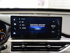 2021款 鲲鹏版 390TGDI 自动逐风版