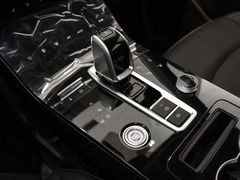 2021款 鲲鹏版 390TGDI 自动逐风版