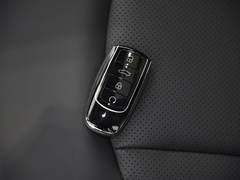 2021款 鲲鹏版 390TGDI 自动逐风版