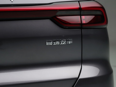 2021款 鲲鹏版 390TGDI 自动扶摇版