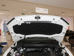 2022款 330TSI 两驱越享版