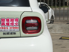 2022款 351km 标准型 三元锂