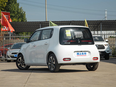 2022款 升级版 305km 豪华型 三元锂