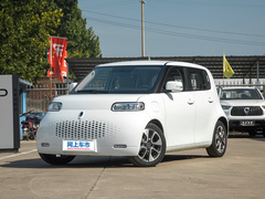 2022款 升级版 305km 豪华型 三元锂