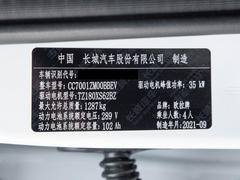 2022款 升级版 305km 豪华型 三元锂
