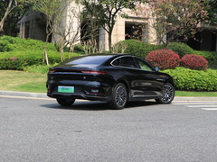 2021款 EV 标准续航版豪华型