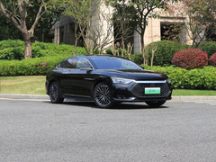 2021款 EV 标准续航版豪华型