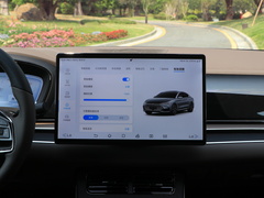 2021款 EV 标准续航版豪华型