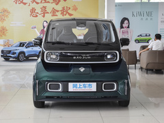 2021款 艺术家 磷酸铁锂
免税
