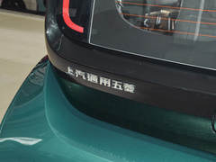 2021款 艺术家 磷酸铁锂
免税
