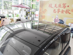 2021款 艺术家 磷酸铁锂
免税
