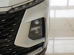 2022款 2.0T 自动有为尊荣版