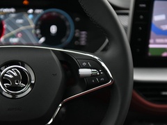 2022款 TSI330 两驱奢享版