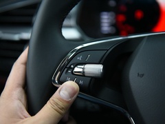 2022款 TSI330 两驱奢享版