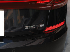 2022款 330TSI 尊贵版