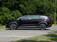 2021款 380TGDi 智爱旗舰版 TOP Premium