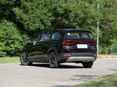 2021款 380TGDi 智爱旗舰版 TOP Premium