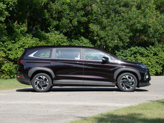 2021款 380TGDi 智爱旗舰版 TOP Premium