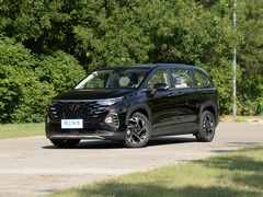 2021款 380TGDi 智爱旗舰版 TOP Premium