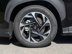 2021款 380TGDi 智爱旗舰版 TOP Premium