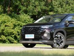 2021款 380TGDi 智爱旗舰版 TOP Premium