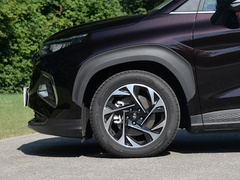 2021款 380TGDi 智爱旗舰版 TOP Premium