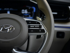 2021款 380TGDi 智爱旗舰版 TOP Premium