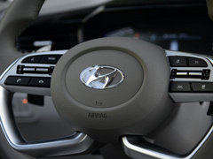 2021款 380TGDi 智爱旗舰版 TOP Premium