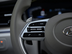 2021款 380TGDi 智爱旗舰版 TOP Premium
