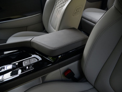 2021款 380TGDi 智爱旗舰版 TOP Premium