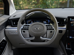 2021款 380TGDi 智爱旗舰版 TOP Premium
