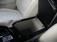 2021款 380TGDi 智爱旗舰版 TOP Premium