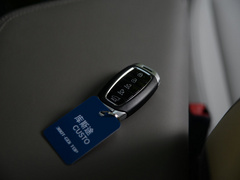 2021款 380TGDi 智爱旗舰版 TOP Premium