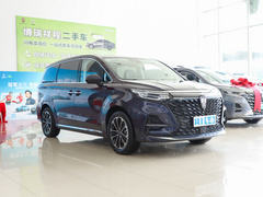 2022款 400TGI 尊荣版