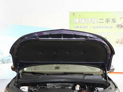 2022款 400TGI 尊荣版