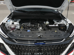 2022款 1.5T 蓝鲸自动豪华型