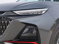 2022款 1.5T 蓝鲸自动尊贵型