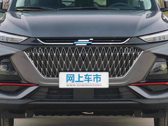 2022款 1.5T 蓝鲸自动尊贵型