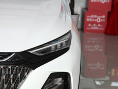 2022款 1.5T 蓝鲸自动尊贵型